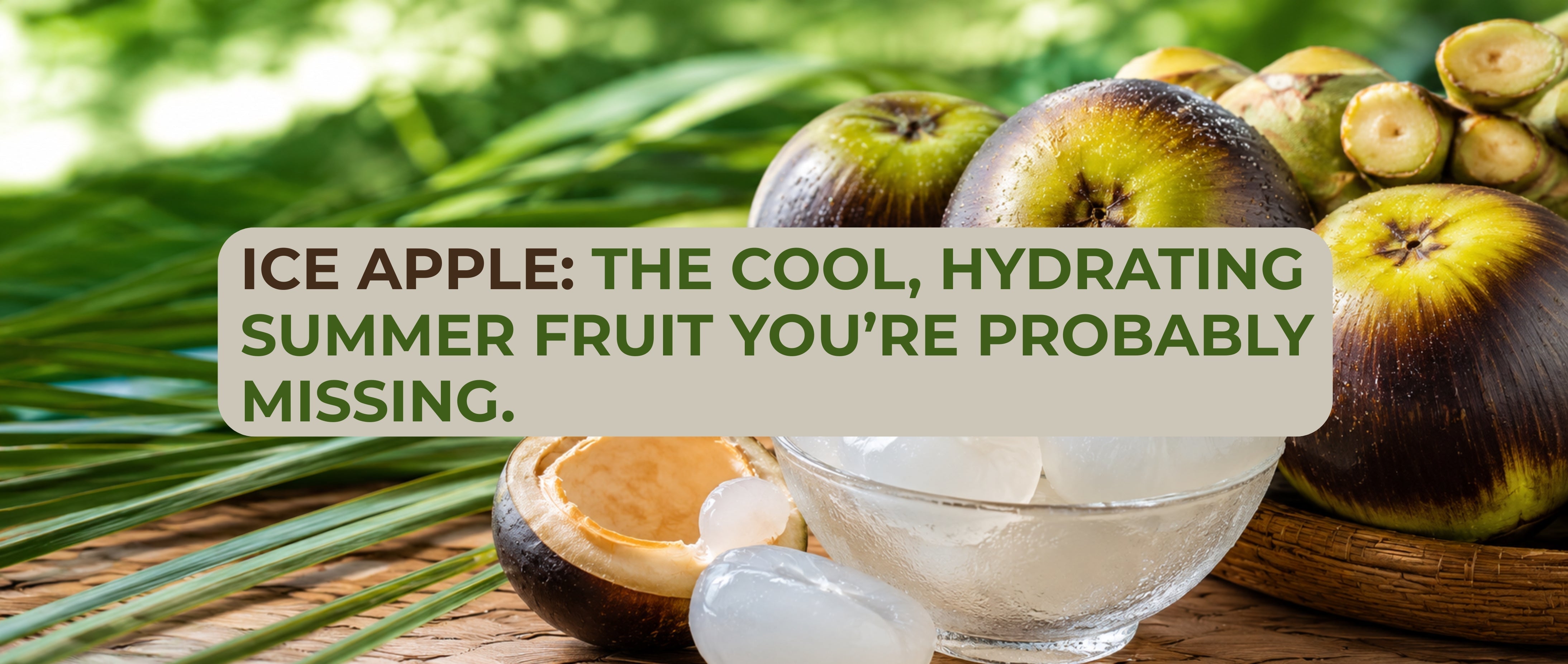 what is Ice Apple and why its best in summer 