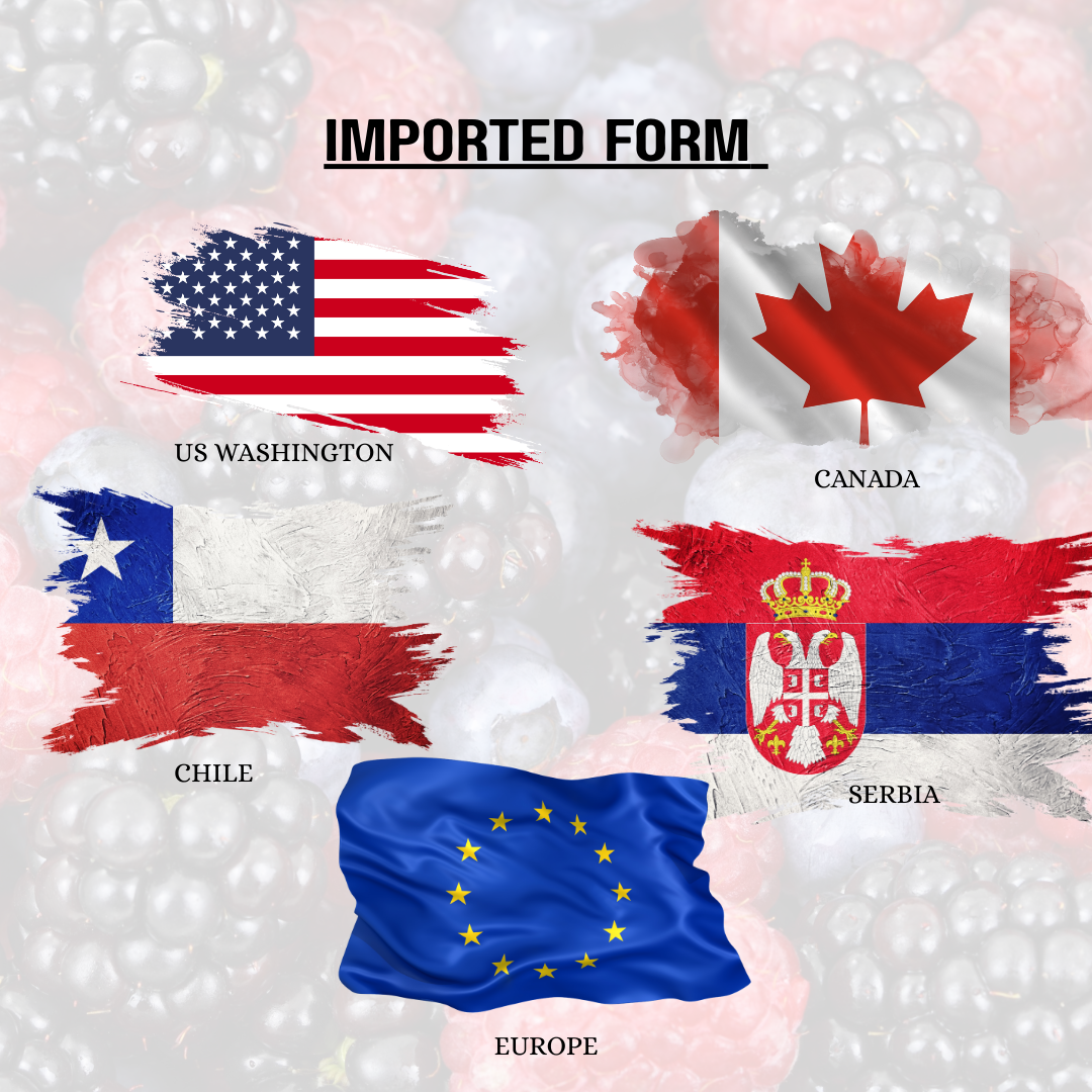 FRUT Premium Frozen Mixed Berries1kg -  are imported berries from many international countries like chile, europe, canada, serbi, and washington