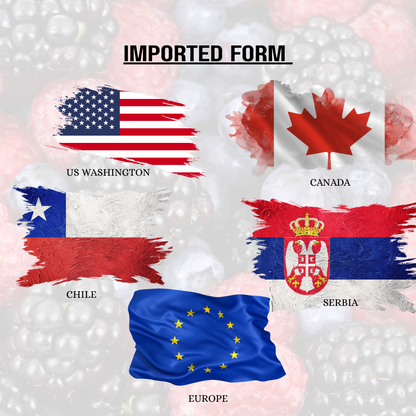 FRUT Premium Frozen Mixed Berries1kg -  are imported berries from many international countries like chile, europe, canada, serbi, and washington