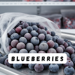 frut frozen blueberry from chile